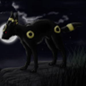 Meet your Posher, Coral